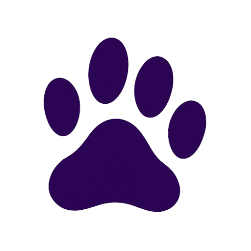 all about cat